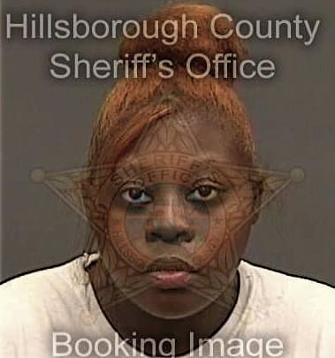 Aminata Diallo, - Hillsborough County, FL 