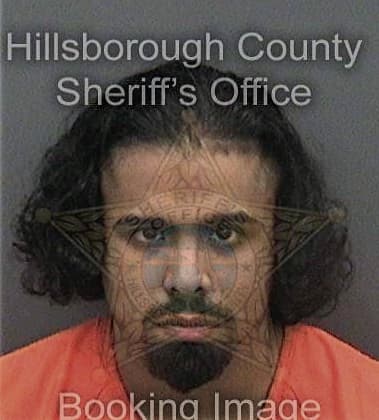 Luis Hernandezramos - Hillsborough County, FL 