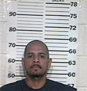 Alvaro Molina, - Hidalgo County, TX 