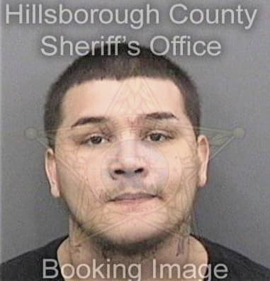 Nicholas Simmons, - Hillsborough County, FL 