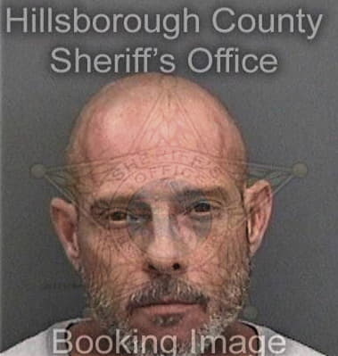 Suyivan Villegaspatino, - Hillsborough County, FL 