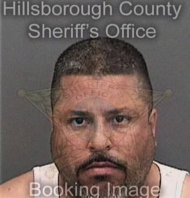 Jose Castrosantiago, - Hillsborough County, FL 