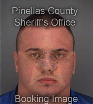 Mohamed Chamseddine, - Pinellas County, FL 