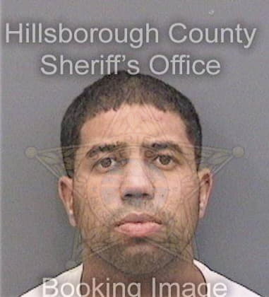 Martin Deleon, - Hillsborough County, FL 