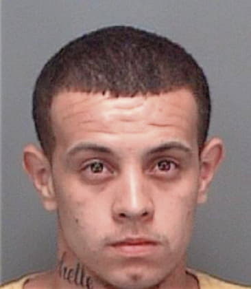 Jose Herrahernandez, - Pinellas County, FL 