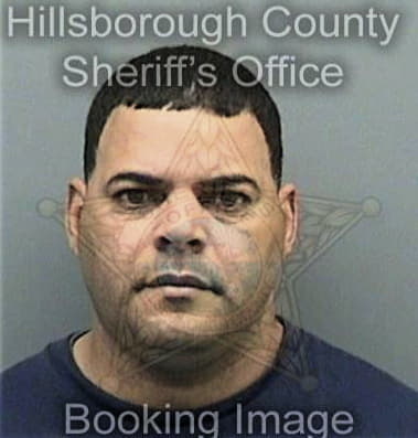 Roberto Martinezhernandez, - Hillsborough County, FL 