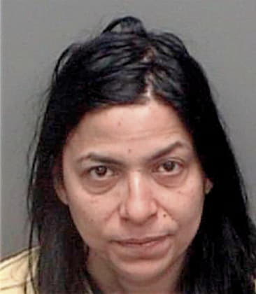 Andrea Maturen - Pinellas County, FL 