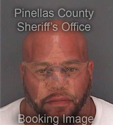 Andres Mesamarcos, - Pinellas County, FL 