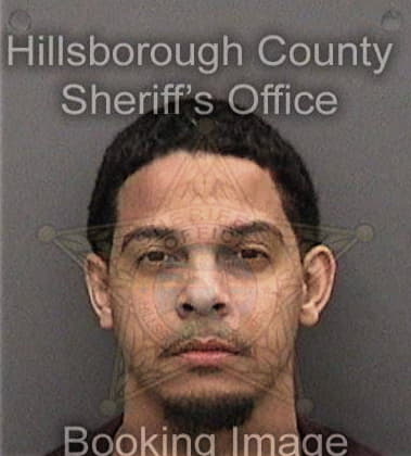 Rodiez Newsome, - Hillsborough County, FL 