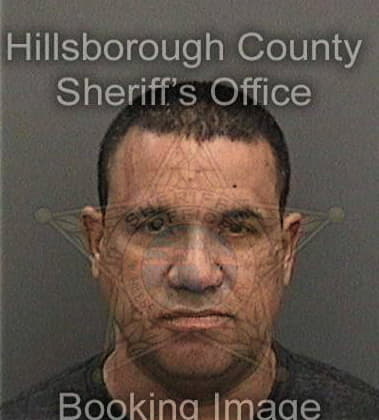 Luis Rodriguezpons, - Hillsborough County, FL 