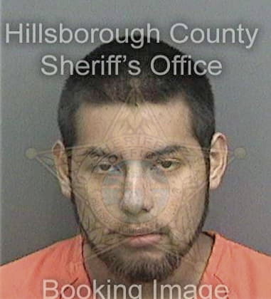 Matthew Swafford, - Hillsborough County, FL 