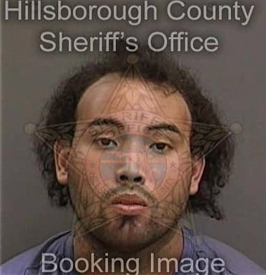 Rymer Vargas-Castro, - Hillsborough County, FL 