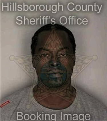 Bizuneh Bizuneh - Hillsborough County, FL 