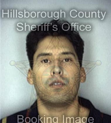 Michael Merrell - Hillsborough County, FL 