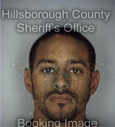 Justin Williams, - Hillsborough County, FL 