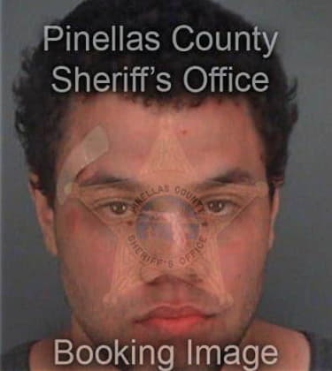 Joseph Alexander, - Pinellas County, FL 