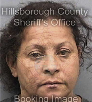 Deborah Anderson, - Hillsborough County, FL 