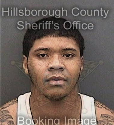 Michael Brun, - Hillsborough County, FL 