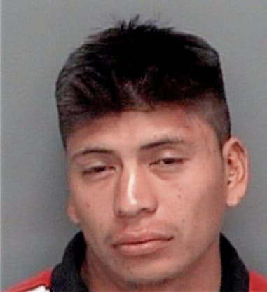 Juan Delacruz, - Pinellas County, FL 