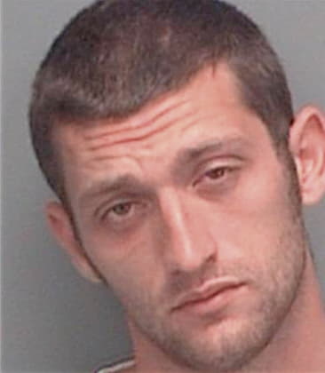 Nicholas Derosa, - Pinellas County, FL 