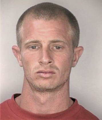 Carlos Hernandezrentas - Hillsborough County, FL 