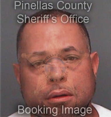 Ocossio Nettles, - Pinellas County, FL 