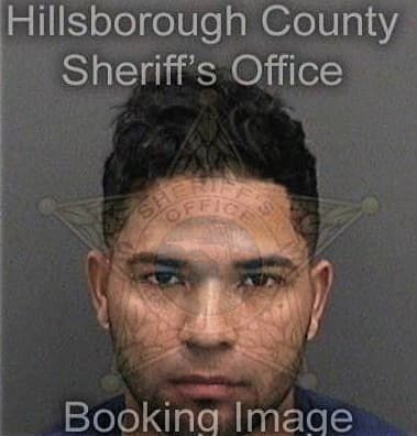 Antonio Reyes, - Hillsborough County, FL 