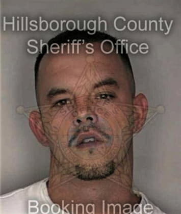 Ivan Vasquez, - Hillsborough County, FL 