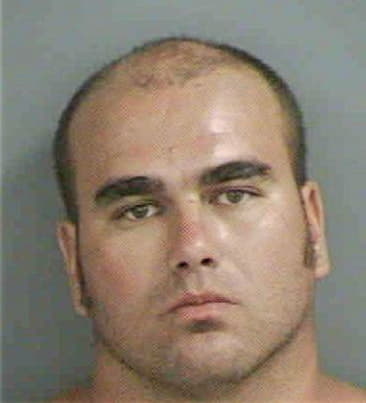 Arnelio Bravo, - Collier County, FL 