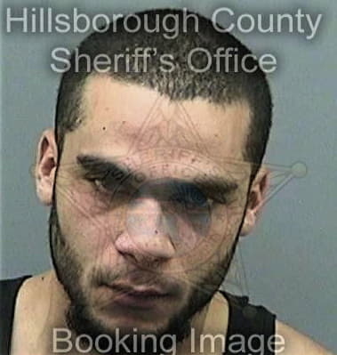 Louis Coppola, - Hillsborough County, FL 