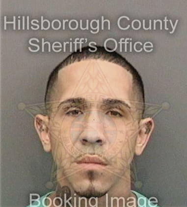 Mark Fagoh, - Hillsborough County, FL 