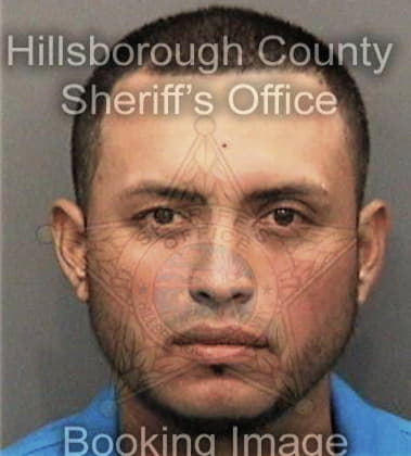 Adrian Figueroa, - Hillsborough County, FL 