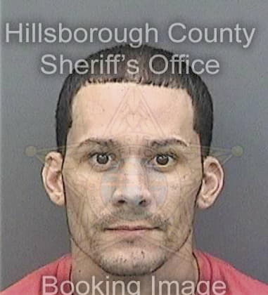 Brandon Goggins, - Hillsborough County, FL 