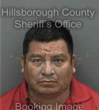 Thomas Healy, - Hillsborough County, FL 