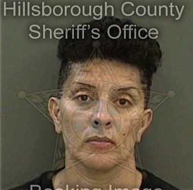 Hillary Howard, - Hillsborough County, FL 