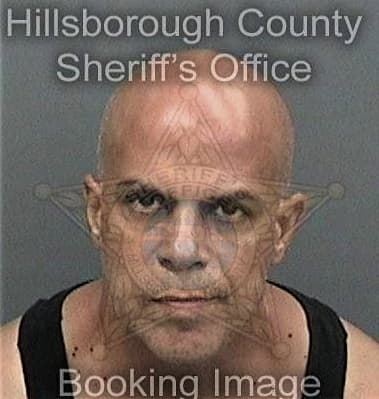 Leland Johnston, - Hillsborough County, FL 