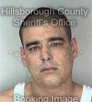 Joshua Lounds, - Hillsborough County, FL 