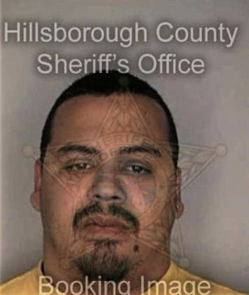 Arturo Martinezvargas, - Hillsborough County, FL 