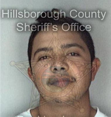 Richard Melli - Hillsborough County, FL 