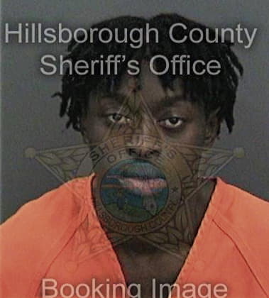 Noel Robins - Hillsborough County, FL 