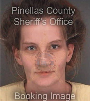 Tina Schneider, - Pinellas County, FL 