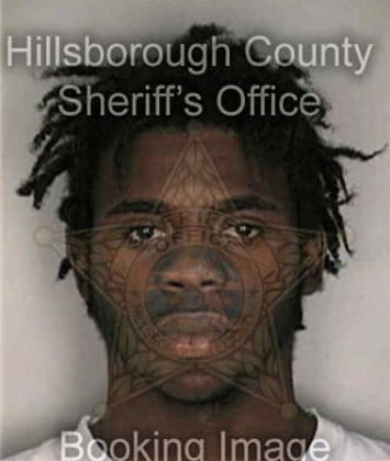 Franciso Bradshaw - Hillsborough County, FL 