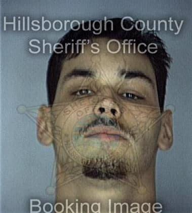 Pedro Delvalle, - Hillsborough County, FL 