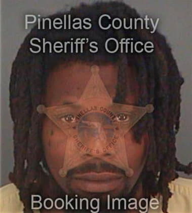 Michael King, - Pinellas County, FL 