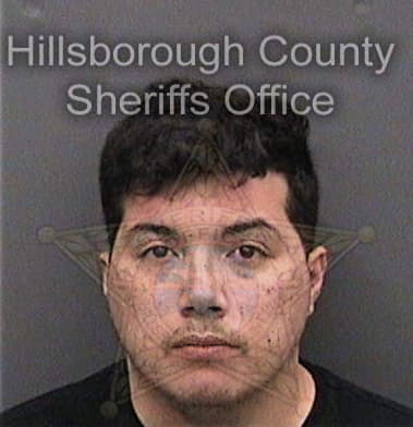 Jacob Messatzzia - Hillsborough County, FL 