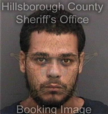 Luis Balderas-Medellin, - Hillsborough County, FL 