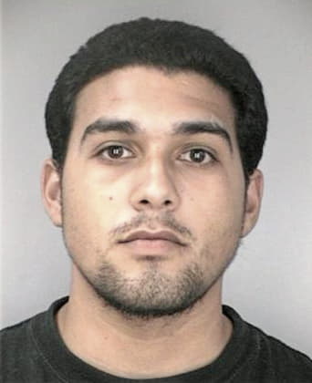 Mario Fernando, - Hillsborough County, FL 