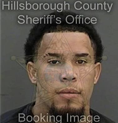 Jose Garciamejia, - Hillsborough County, FL 