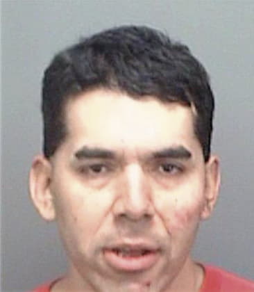 Vincente Hernandez, - Pinellas County, FL 