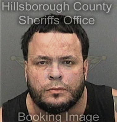 Carlos Larrotasantacruz, - Hillsborough County, FL 